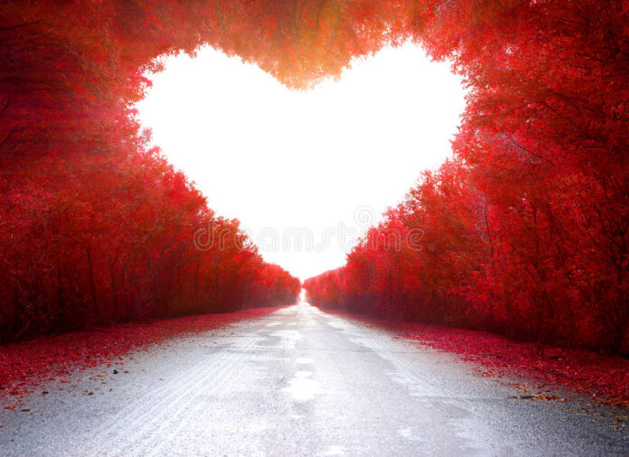 road-to-love-trees-shape-heart-58864200-9cbc1499
